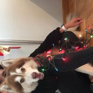 Meet your Posher, Vivian